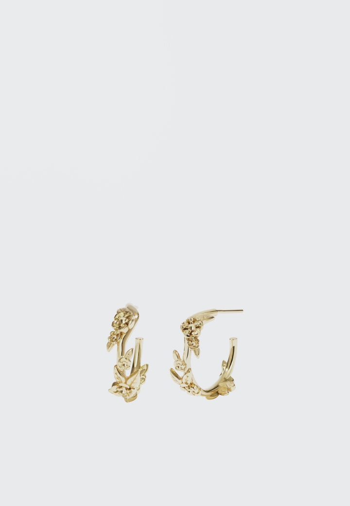 Meadowlark Small Alba Hoop Earrings - gold - Good As Gold