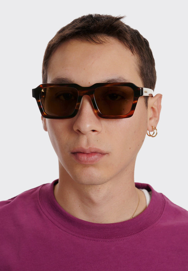 Staunton Sunglasses - havana/brown