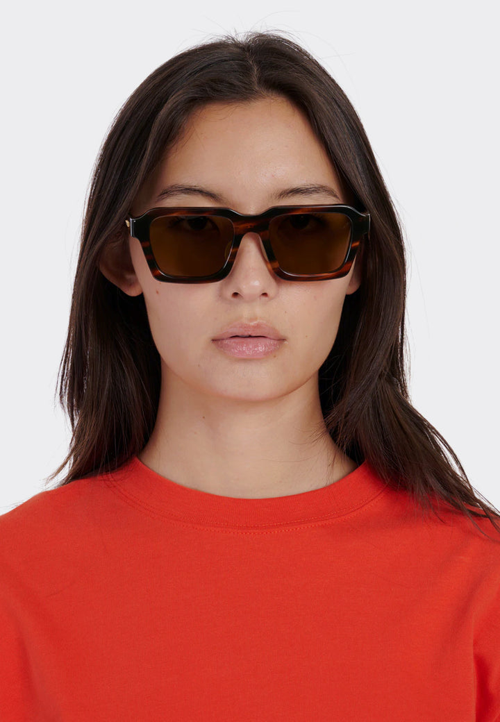 Staunton Sunglasses - havana/brown