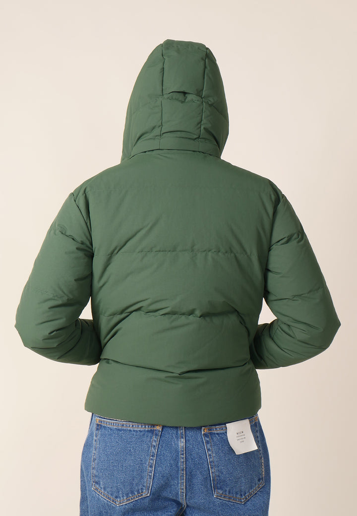 Women's Downdrift Jacket - sublime green